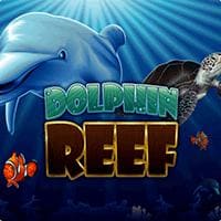 RTP dolphin reef